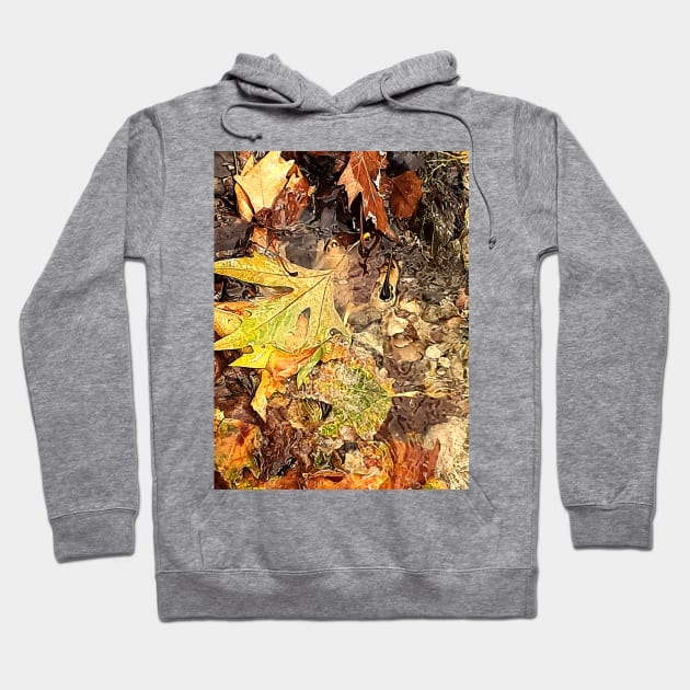 Fallen leaves floating in the river, 1, (Set of 3), fall, autumn, xmas, holiday, nature, forest, trees, winter, color, flowers, orange, art, botanical, leaves, leaf, floral, wet, rain, water, holidays, digital, spring, aqua, graphic-design, Hoodie by PrintedDreams